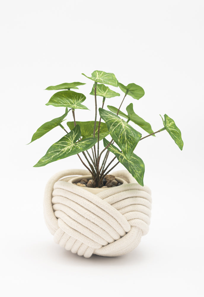 Handmade Woven Rope Small White Planter, Fair Trade, Gives Freedom to Women!