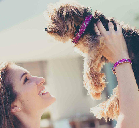 Pedigree Princess- Friendship Vegan Dog Collar and matching Bracelet - Feeds 4 shelter pups! - Give Back Goods