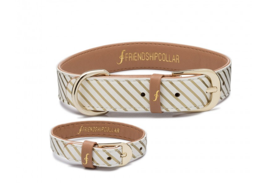 Gilded Gold striped Dog Collar and Matching Bracelet For You! - Vegan - Feeds 5 shelter pups! - Give Back Goods
