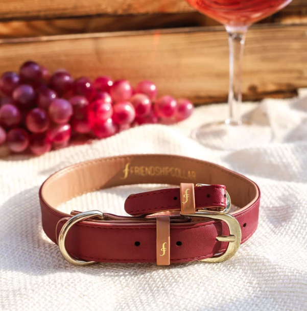 Classic Red  Dog Collar & Matching Bracelet For You! - Vegan - Feeds 4 shelter pups!