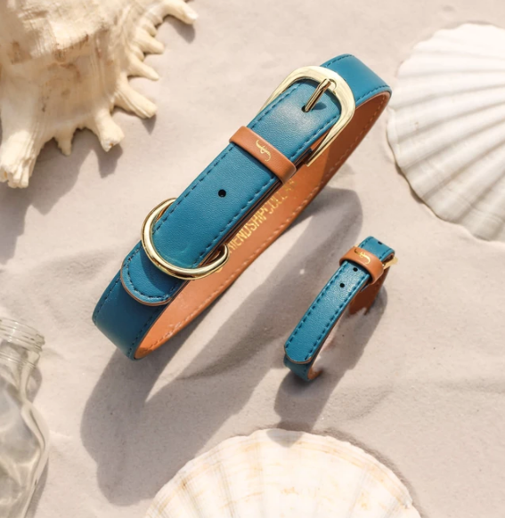 Sea Foam Turquoise Blue Dog Collar and Matching Bracelet For You! - Vegan - Feeds 4 shelter pups!