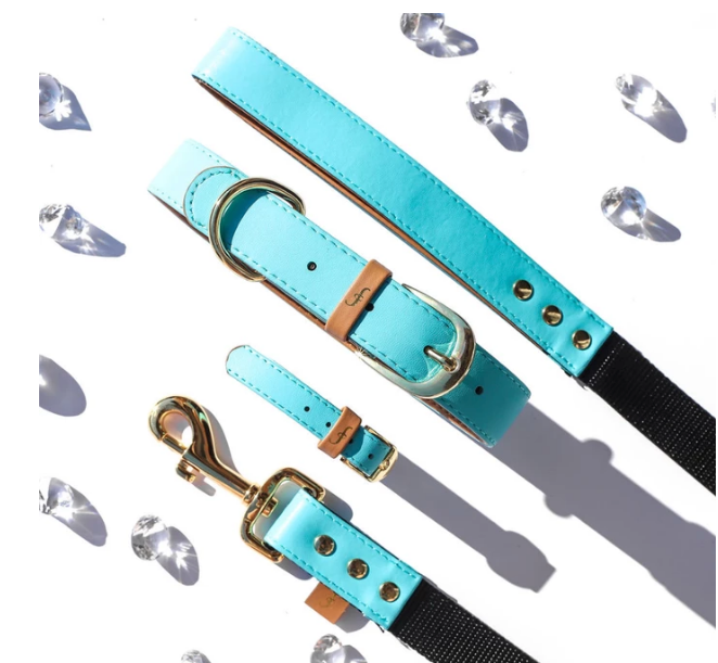 Turquoise Vegan Dog Leash - Feeds 4LBS of food to shelter pups!