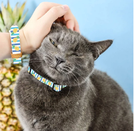 Pineapple Design Vegan "leather" Cat Collar & Matching Bracelet- Feeds 3 Shelter Animals!