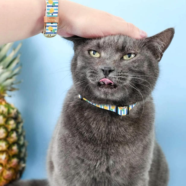 Pineapple Design Vegan "leather" Cat Collar & Matching Bracelet- Feeds 3 Shelter Animals!